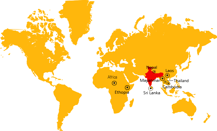 export-market-map